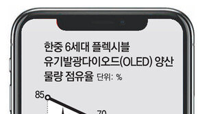 中업체 가세로… 중소형 OLED 큰 싸움 예고