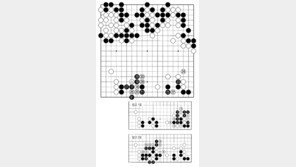 [바둑]알파고 vs 알파고 특선보… 수확의 방법