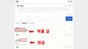 ‘옵션열기’ 생기는 이유? 네이버 기사 본인 댓글 ‘Ctrl C+Ctrl V’ 과정서…