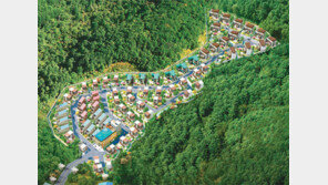 [화제의 분양현장]고정 수익 가능한 남이섬 선착장 앞 풀빌라 펜션