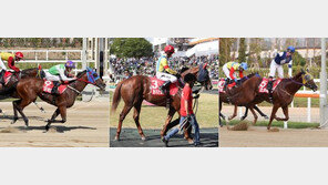 여왕마마 ‘실버울프’…馬사인 볼트 ‘돌포’…남다른 씨 ‘초인마’