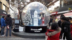 스노볼 안의 크리스마스트리