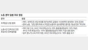 ‘휴일수당 1.5배 vs 2배’ 대립… 환노위서 입법 스톱