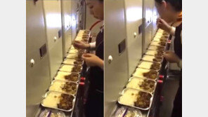 [영상]15인분 기내식 늘어놓고 맛본 스튜어디스 ‘정직’ 징계…어느 항공사?
