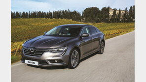 초보 운전자도 믿고 타는 세단? SM6 있잖아