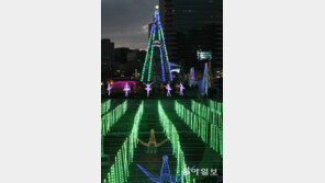 청계천은 벌써 크리스마스