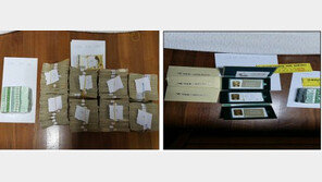 [고액체납자 명단공개]4억 현금뭉치·골드바 ‘와르르’…소파 등받이 속에 수표가…