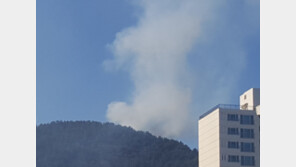 [속보] 부산 기장 산불…“헬기로 진화 중, 큰 불길 잡았다”