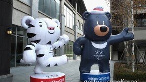 평창올림픽 자원봉사자 교통요금 20% 할인