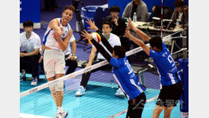 다시 불붙은 삼성화재VS현대캐피탈 명가들의 싸움