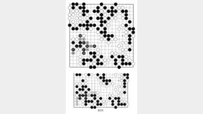 [바둑]알파고 vs 알파고 특선보… 골치 아픈 패