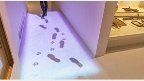 ‘온돌방에서 감자 먹으며’… 조상들의 겨울나기