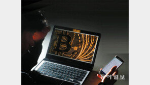 ‘고래’ 투자자들의 머니게임… 루머에 휘둘린 개미들 피눈물