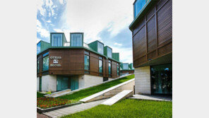 월드컵 베이스캠프, 상트페테르부르크로