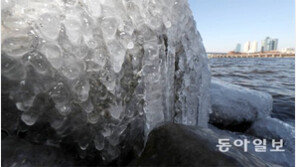 저체온증 3명 사망… 한파에 한랭질환 급증