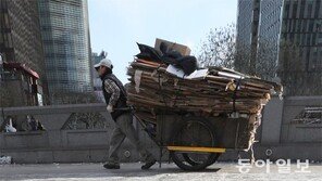 폐지수집 39%가 80대 이상… “月 10만원 못벌어”