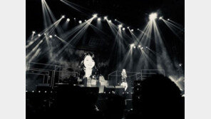 남편 송중기와 ‘아이유 콘서트 데이트’ 즐긴 송혜교, 결혼 후 첫 공식일정은?