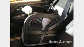 기아차 레이, 반려동물 전용 옵션 ‘튜온 펫’ 추가… 가격은 34만원