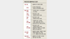 ‘비트코인 플래티넘’ 국내 고교생 2명이 주도한듯