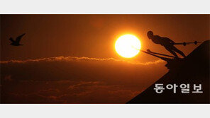 솟아오른 해처럼 평창도 솟구쳐라