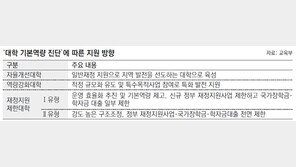 내년부터 각 대학 기본역량 진단 실시