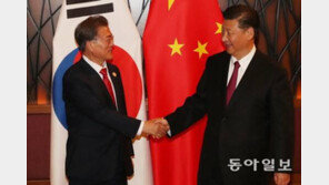 문 대통령 시진핑과 정상회담…이석현 “홀대? 대접보다 속 풀어주는 게 더 중요”