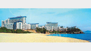 [화제의 분양현장]대명, 창립 38돌… 정회원권 특별 분양