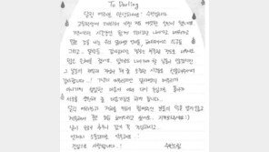 달샤벳 세리·아영·수빈, 전속계약 만료…수빈 “달샤벳의 마무리 아냐”