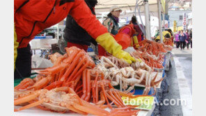 겨울철 인기여행지 1위 ‘영덕 강구항’ …가장 많이 찾는 겨울바다는?