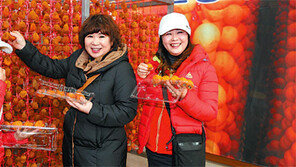 영동군 곶감축제 15일부터 사흘간 열려