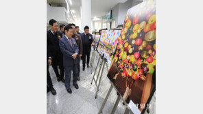 광주시청 보도사진전