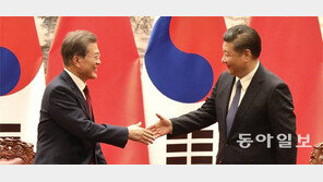 文대통령-시진핑 “한반도 전쟁 용납안해”… 사드 봉인은 못해