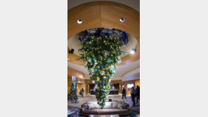 ‘뒤집어진 성탄트리’ 유행