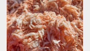 “김장김치 맛 좌우하는 소금·젓갈…원산지표시 확인하세요”