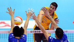 KB손해보험 알렉스는 권순찬 감독의 ‘흑묘백묘’다