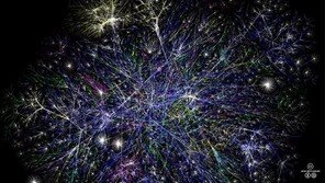 기로에 선 망 중립성, 누가 웃고 누가 우나?