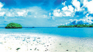 [여행, 나를 찾아서]일본으로 떠나는 남국여행… 올겨울엔 새하얀 모래사장 ‘이시가키’로