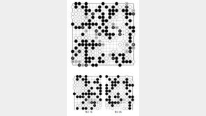 [바둑]알파고 vs 알파고 특선보… 진짜 실수였을까