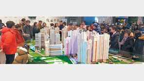 한파 녹인 분양열기… 주말 본보기집 23만 인파