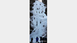 무서운 冬장군… 폭포까지 ‘꽝꽝’