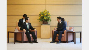 “홍준표-아베 총리 면담 사진, 아베 의자 높고 洪 의자 낮아”…日, 일부러?