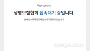 ‘내보험찾아줌’ 도대체 뭐길래?…접속자 폭주로 ‘홈피 마비’