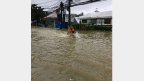 “피난민 수준” “난리, 공포” 보라카이 극적 탈출 한국 관광객 SNS 보니…