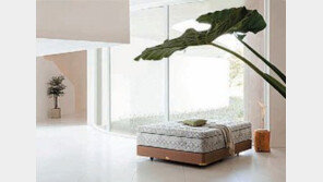 [스마트컨슈머]다양해진 ‘프리미엄 매트리스’로 편하게 숙면하세요