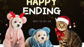 옥션 반려동물 월동준비 기획전