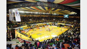 “오빠, 크리스마스 이브에 농구 보고 가실래요?”