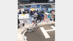 “가전-조명기구 사러 왔다가… 시장도 보고 가지요”