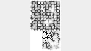 [바둑]알파고 vs 알파고 특선보… 이해하기 힘든 알파고 수법