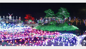 “연말연시엔 충남 겨울바다로 오세요”