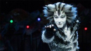 뮤지컬 200만 관객시대 ‘활짝’… 클래식계 한한령 불똥에 ‘울상’